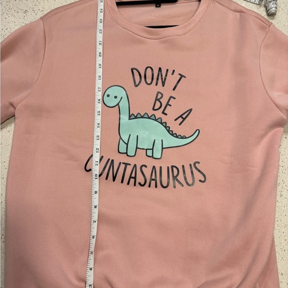 Women’s Medium Don’t Be A C*ntasaurus Pullover Sweater in pink NWOT - Picture 7 of 8